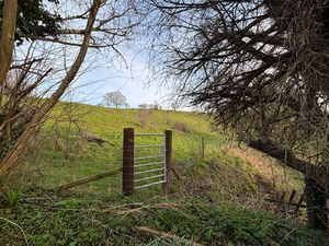 View- click for photo gallery